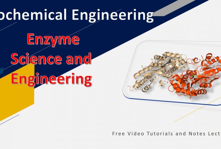 Enzyme Science and Engineering