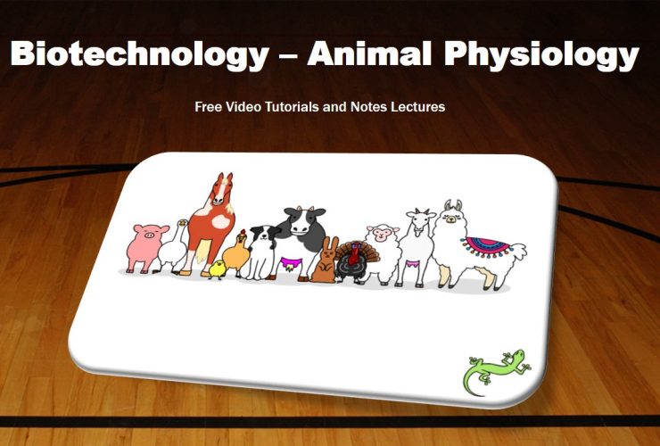 Animal Physiology